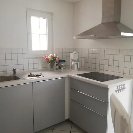 Am Bodensee Mit Wintergarten, Garten Und Grillhaus Bis 6 Person *